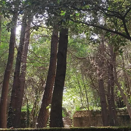 Sea House Apartamento