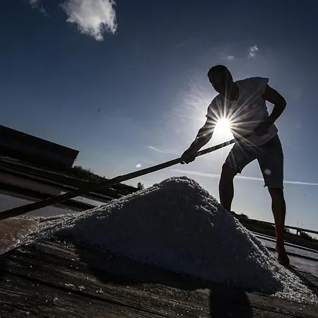 Sea House アパート フィゲイラ・ダ・フォズ