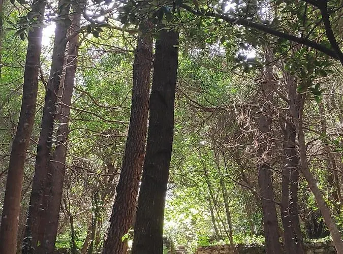 Sea House Appartement